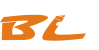 bl motors logo branco e laranja - pq